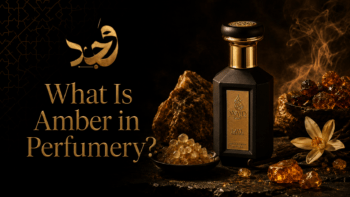 WAJD fragrance bottle with amber resin chunks and beads for an amber fragrance accord