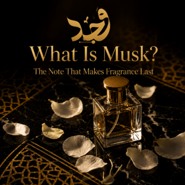 What Is Amber in Perfumery?