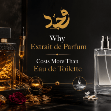 What Makes a Fragrance “Niche” vs Designer?