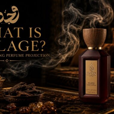 What Is a Dry Down? Understanding Perfume’s Final Stage