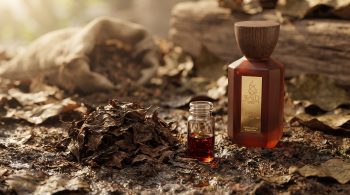 Patchouli fragrance: WAJD BARR Desert Leather Extrait de Parfum with dried patchouli leaves and a vial of patchouli oil