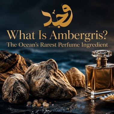 The Science of Fragrance Longevity: Why Some Perfumes Last Longer