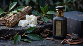 White camphor crystals beside oud wood, green camphor laurel leaves and amber resin next to a matte black WAJD LAYL Night Oud Extrait de Parfum bottle with gold cap